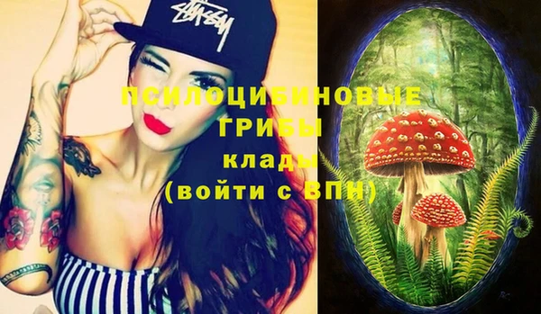 МДПВ Абинск