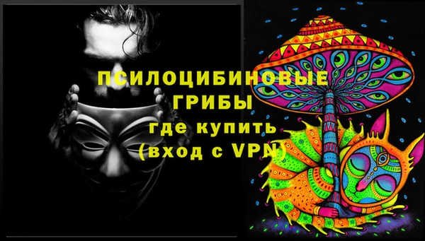 МДПВ Абинск
