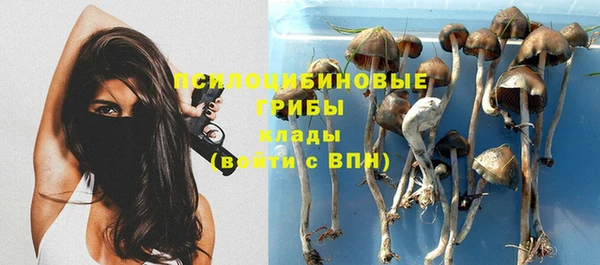 мет Абаза