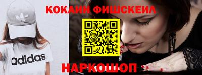 Альфа ПВП Гатчина