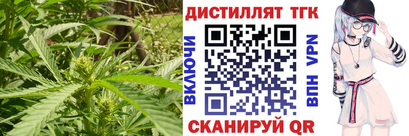 где найти   blacksprut ТОР  ТГК вейп  Моздок 
