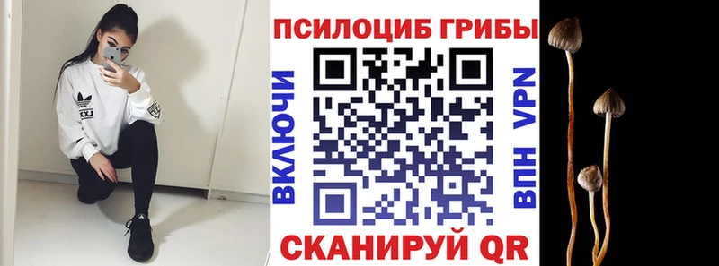 закладка  Моздок  Псилоцибиновые грибы мухоморы 