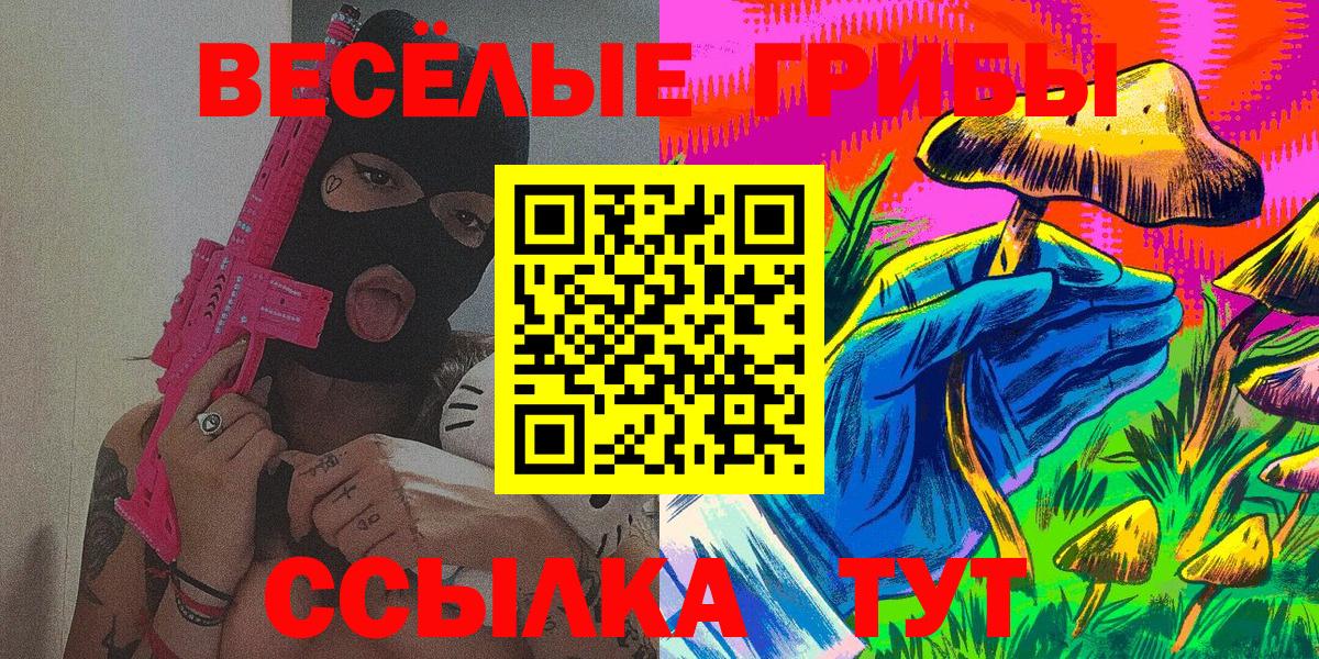 Моздок  Галлюциногенные грибы Cubensis  Вход с VPN 