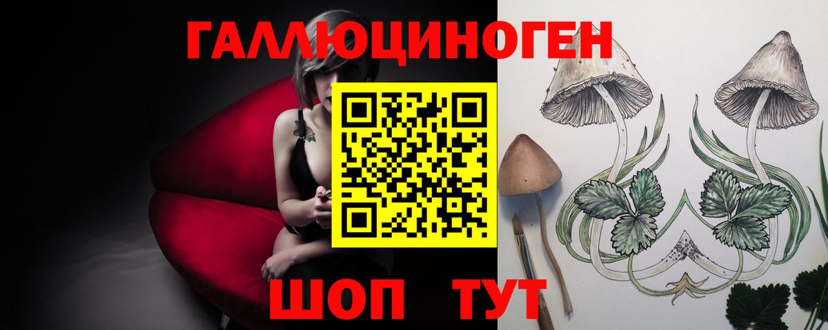 Псилоцибиновые грибы MAGIC MUSHROOMS Моздок
